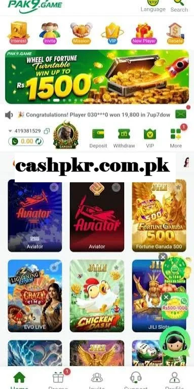 Pak9 Game